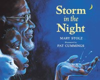 Image of Storm In The Night