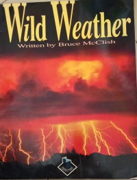 Image of Wild Weather